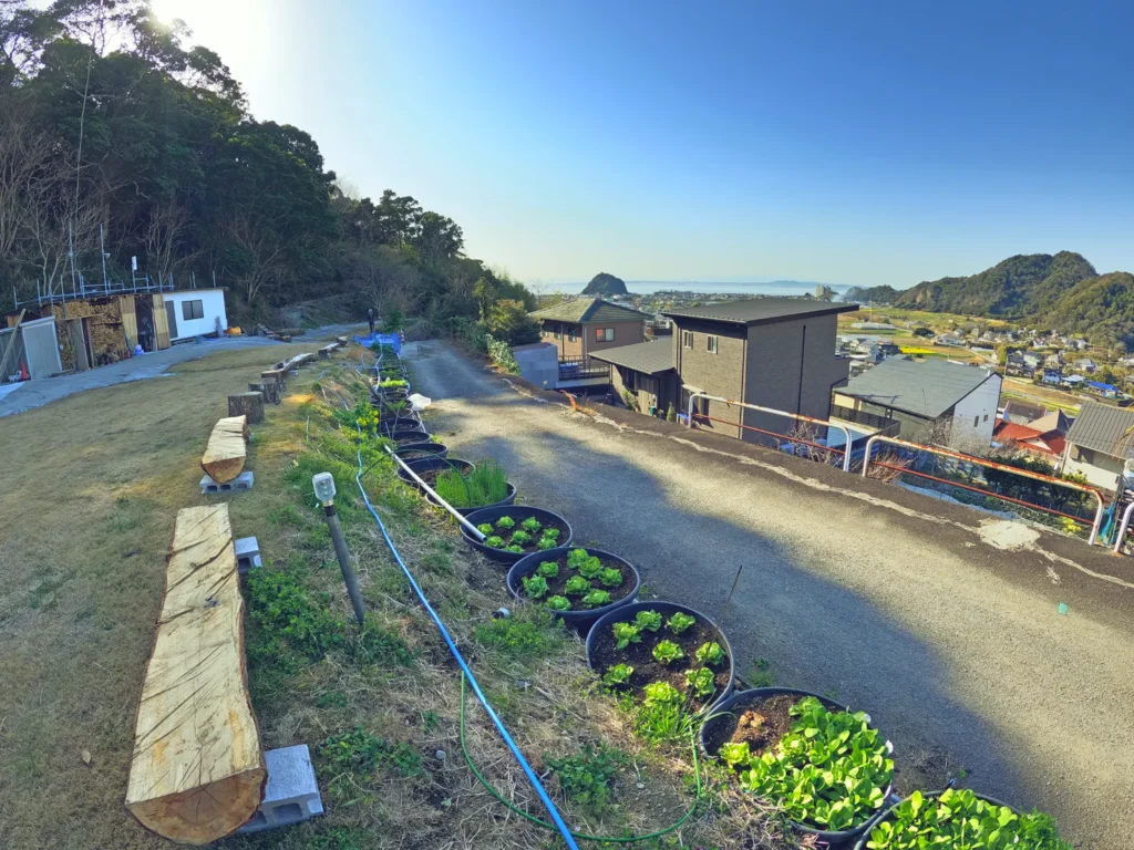 ナイトビスタキャンプ場(nightvista.camp)エリア沿いに野菜を栽培しています